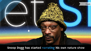 snoop