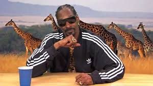 snoop