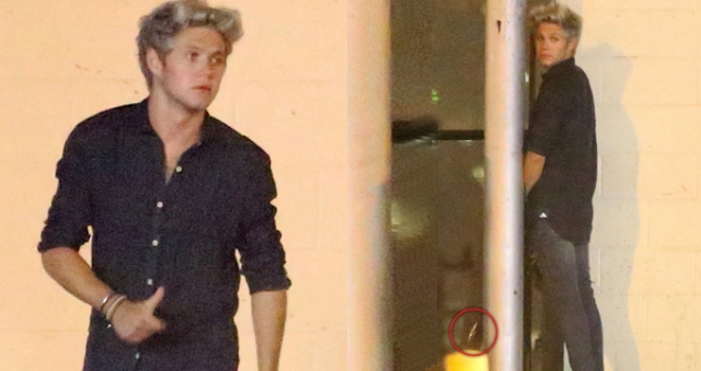 one-direction-grubu-uyesi-west-tuvaletini-8233108_5202_m