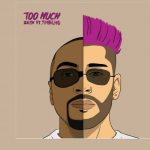 Zayn-Featuring-Timbaland-Too-Much--150x1