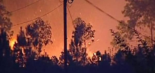 PORTEKİZ'DE ORMAN YANGINI