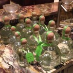 Zenginliği dudak uçuklatıyor