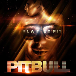 Pitbull Feat. T-Pain, Sean Paul & Ludacris – Shake Senora