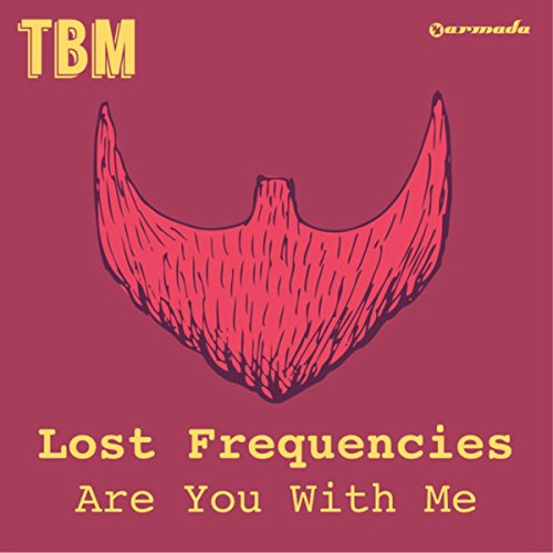 Lost Frequencies – Are You With Me