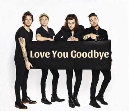 One Direction – Love You Goodbye