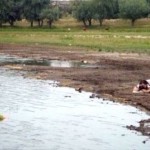 Seksiliği Yanlış Anlayan Ruslar – 069