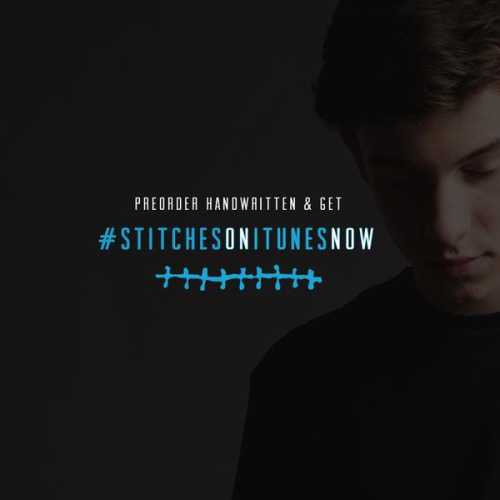 Shawn Mendes – Stitches