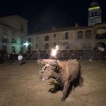 Toro Embolado festivali ispanya foto-01