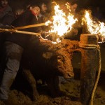 Toro Embolado festivali ispanya foto-15