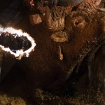Toro Embolado festivali ispanya foto-16