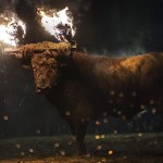 Toro Embolado festivali ispanya foto-19