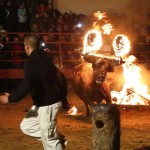 Toro Embolado festivali ispanya foto-34