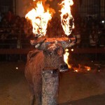 Toro Embolado festivali ispanya foto-35