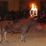 Toro Embolado festivali ispanya foto-36