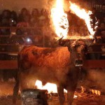 Toro Embolado festivali ispanya foto-37