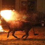 Toro Embolado festivali ispanya foto-38