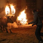 Toro Embolado festivali ispanya foto-39