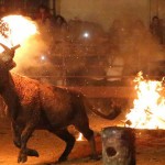 Toro Embolado festivali ispanya foto-41