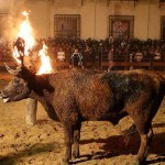 Toro Embolado festivali ispanya foto-43