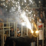 Toro Embolado festivali ispanya foto-44