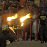 Toro Embolado festivali ispanya foto-47