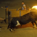 Toro Embolado festivali ispanya foto-48