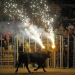 Toro Embolado festivali ispanya foto-49