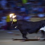 Toro Embolado festivali ispanya foto-50