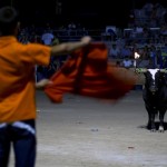 Toro Embolado festivali ispanya foto-52