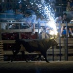 Toro Embolado festivali ispanya foto-53