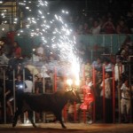 Toro Embolado festivali ispanya foto-58