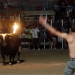 Toro Embolado festivali ispanya foto-59