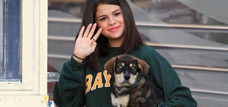 Köpeğini hastanelik etti