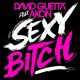 David Guetta Featuring Akon – Sexy Bitch