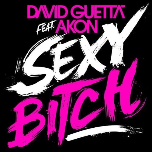 David Guetta Ft. Akon – Sexy Bitch