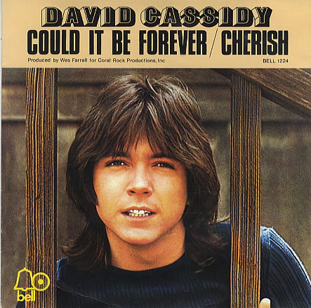 David Cassidy – I Think I Love You