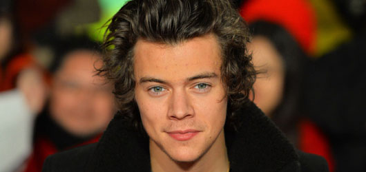 Harry Styles'ın Hayatı Beyaz Perdeye Uyarlanıyor