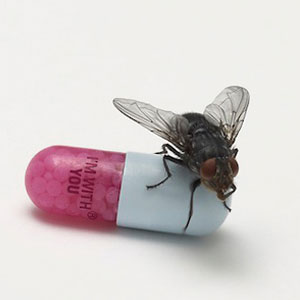 Red Hot Chili Peppers – Look Around