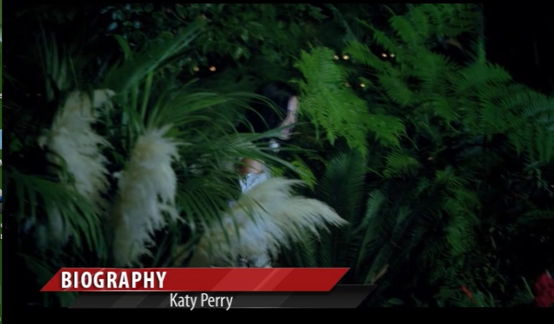 Katy Perry – Biyografi