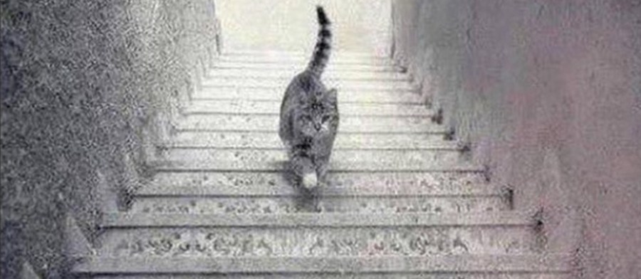 Bu resim dünyayı ikiye böldü