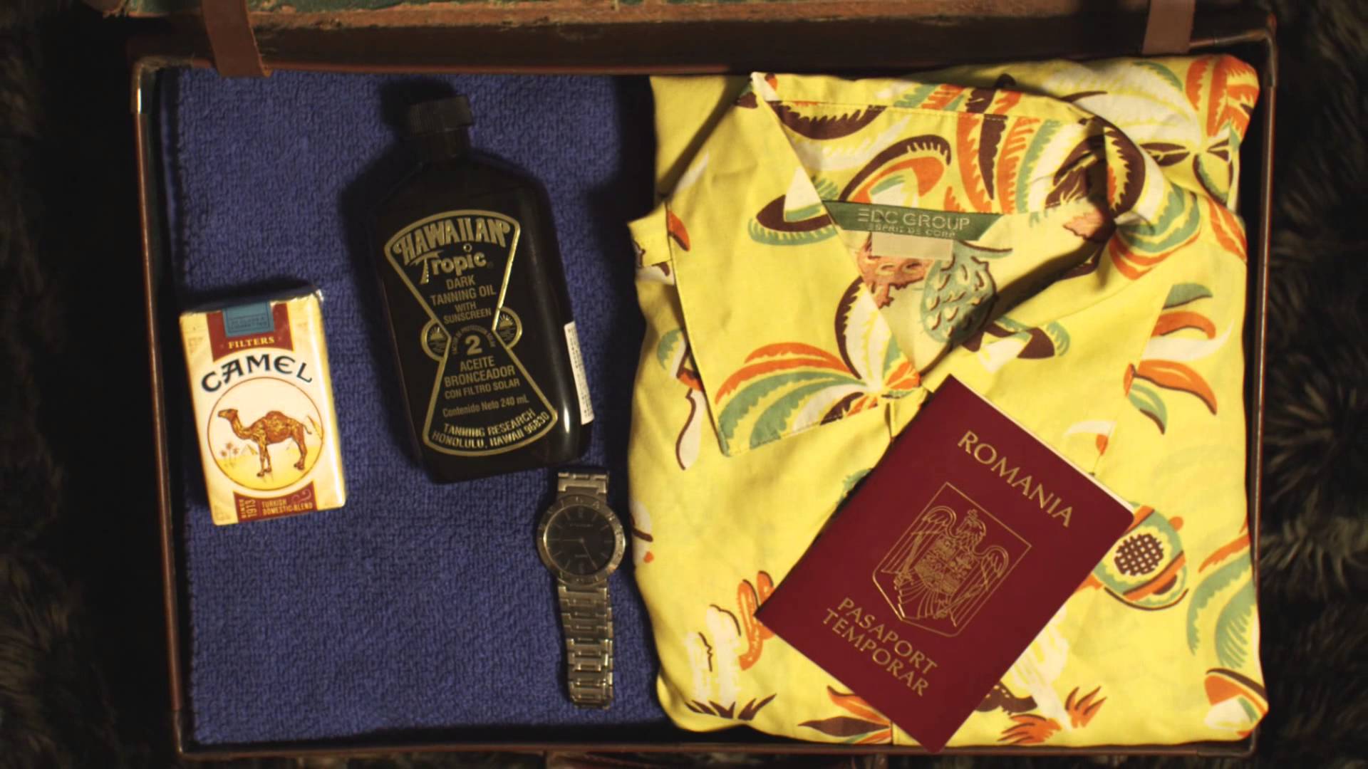 Vance Joy – Riptide