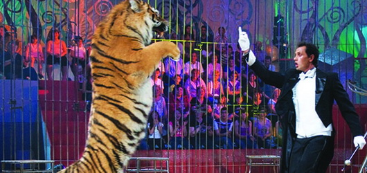 Number1 FM kazandırıyor – Medrano sirkine gitmek ister misiniz?