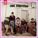 One-Direction-Gotta-Be-You-Single-Artwork