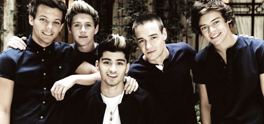 One Direction Grubuna Üst Düzey Koruma