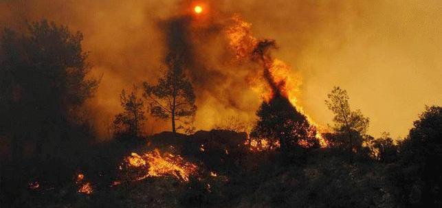 Antalya'da Yangın Devam Ediyor..