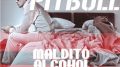 Pitbull – Maldito Alcohol ft.Afrojack