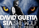 David Guetta – She Wolf (ft. Sia )