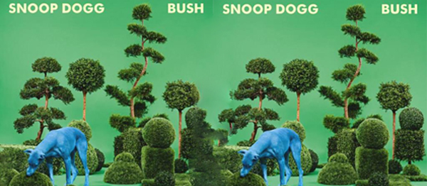 Snoop Dogg Yeni Albümüyle Yaza Damgasını Vuracak