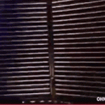 8.Oraya kadar pek de karizmatikti…