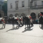 9.İşte çizginin talihsizlik tarafındaki bir arkadaş…